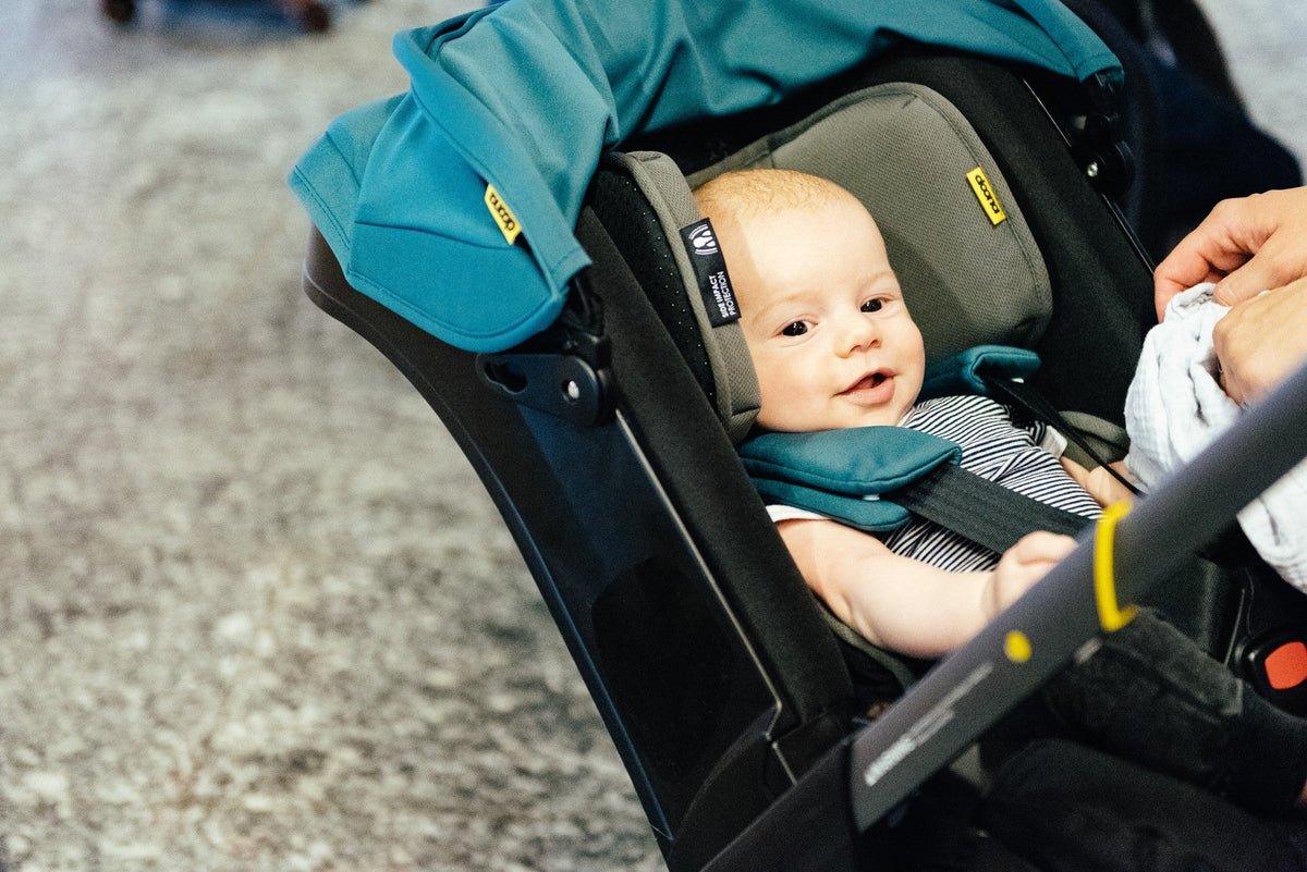 2-in-1 Infant Car Seat & Stroller with Base – Converts in Seconds, 5-Point Harness - Image 7